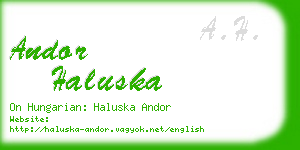 andor haluska business card